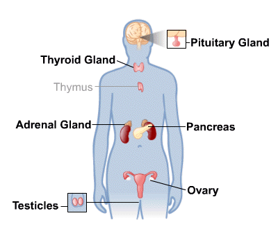 Effects of endocrine treatment