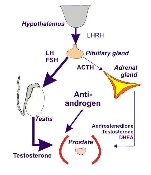non-steroidal antiandrogens