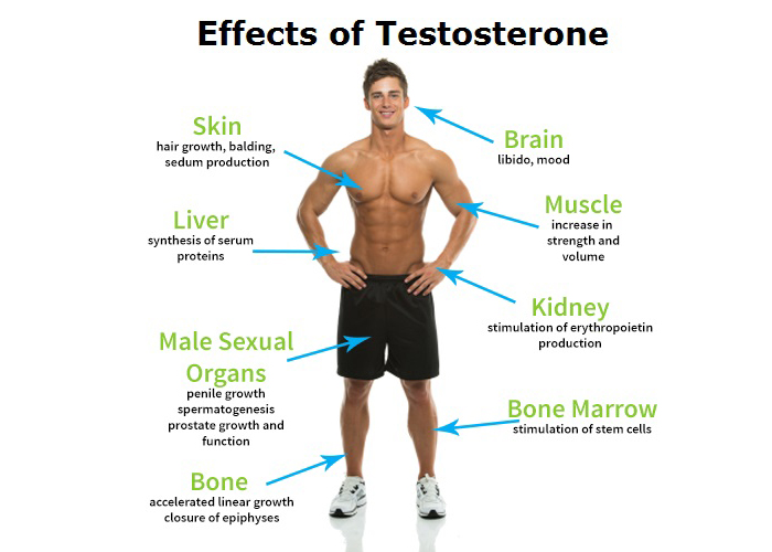 Testosterne Deficiency