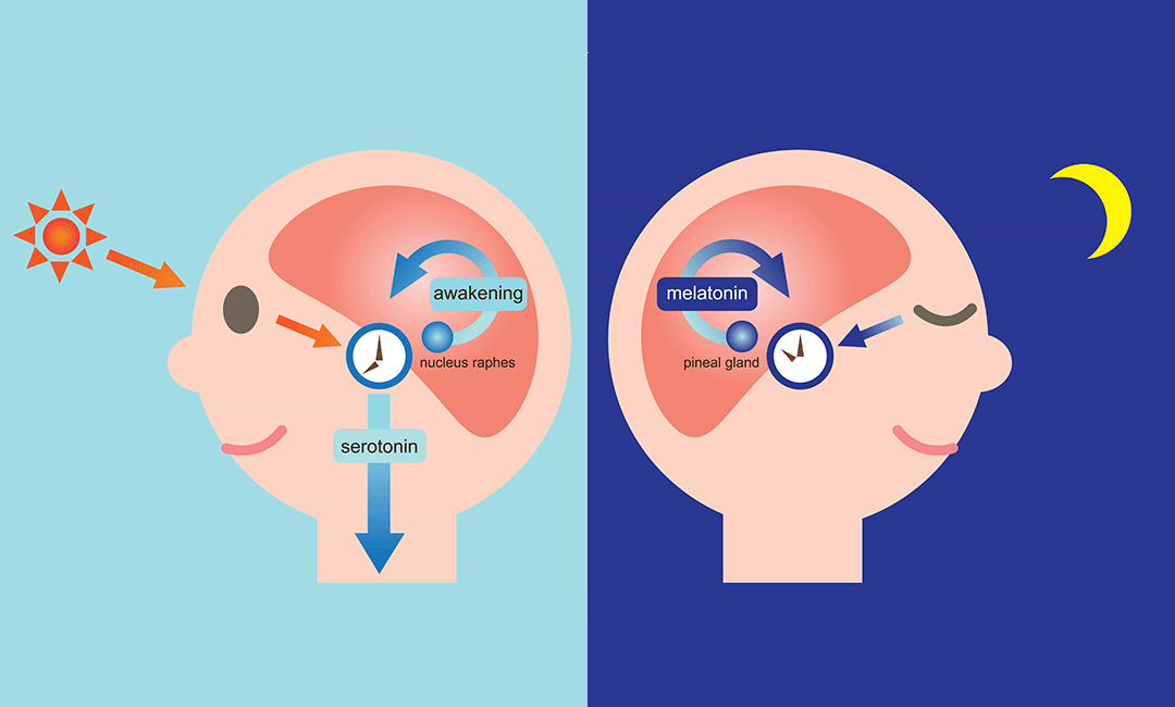 Sublingual Melatonin